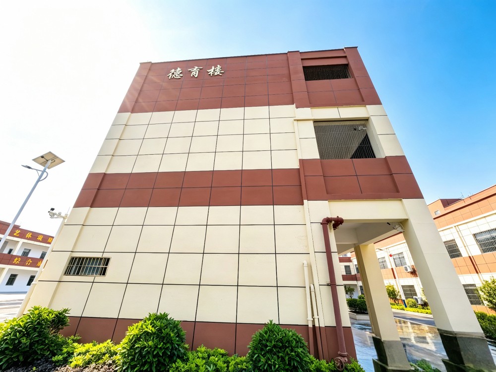2026年现阶段肇庆正规的叛逆孩子管教学校